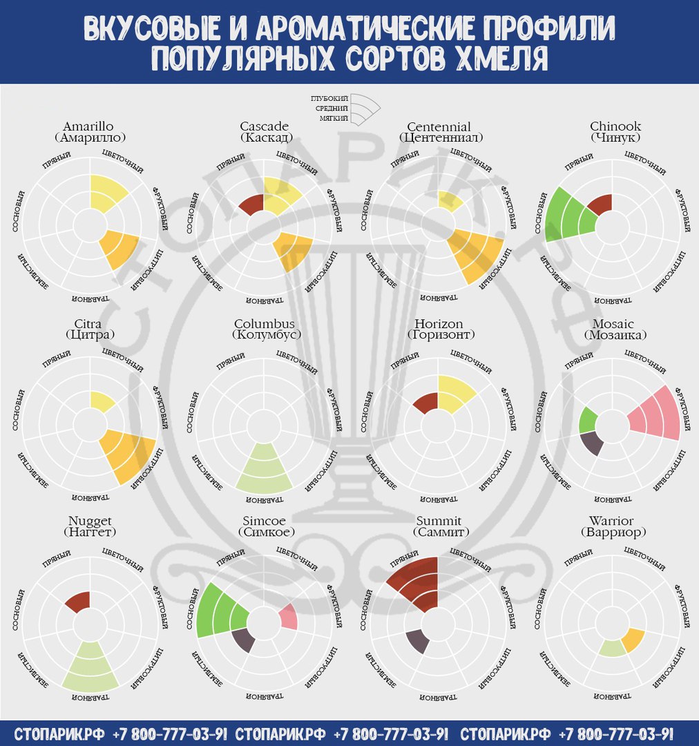 Стопарик - Путь пивовара. Часть 3. Хмель